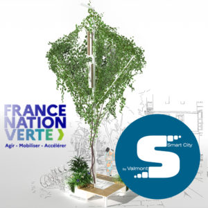 Linné – « Candélarbre » Végétal