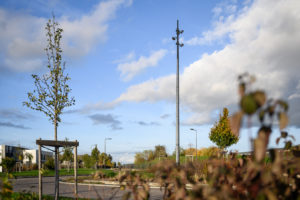 ZAC Lybertec (Belleville en Beaujolais)